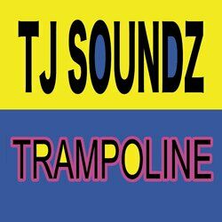 Picture of TJ Soundz