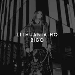 Picture of Lithuania HQ