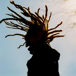 Picture of Shamanic Dub