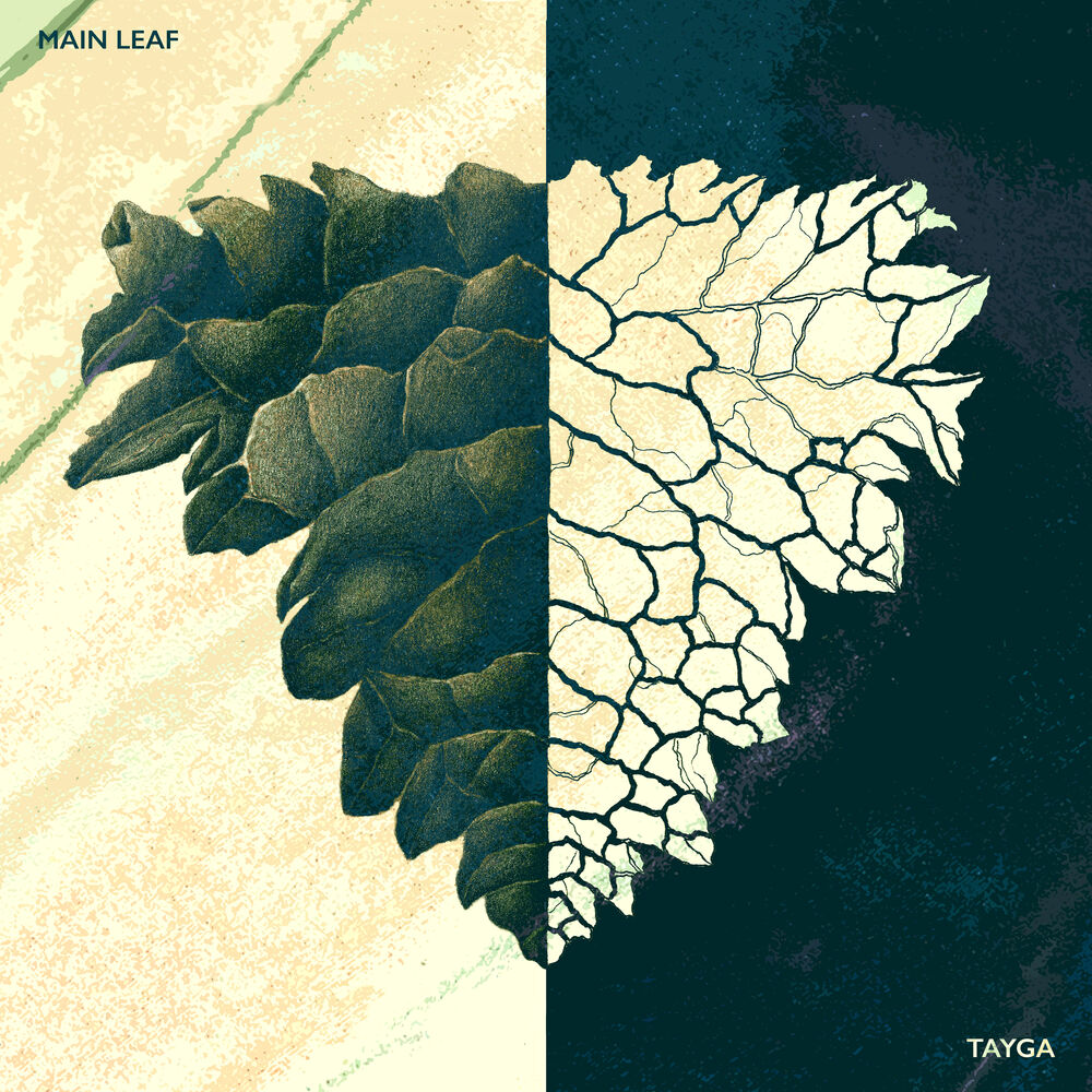 Picture of Main Leaf