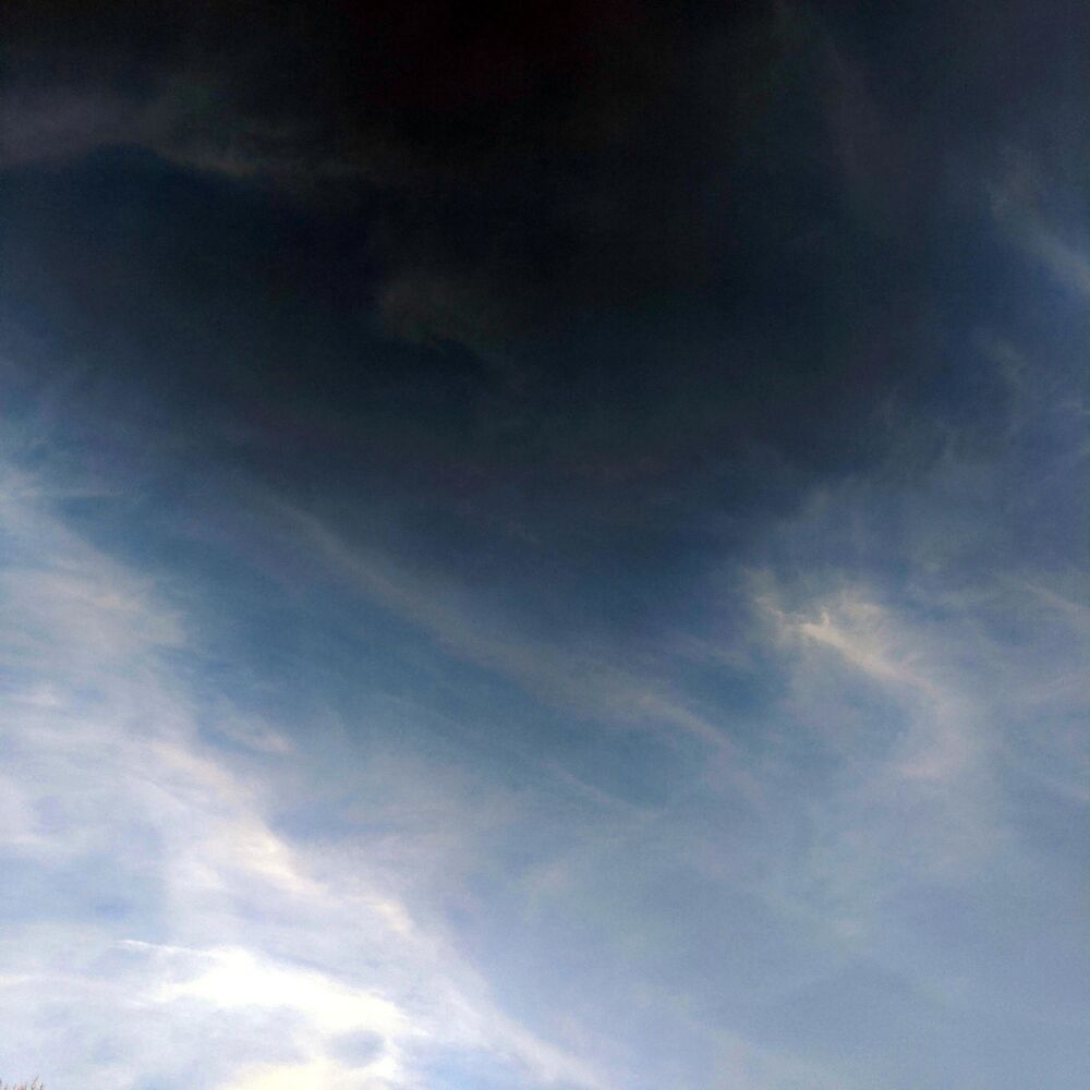 Picture of mistmurk