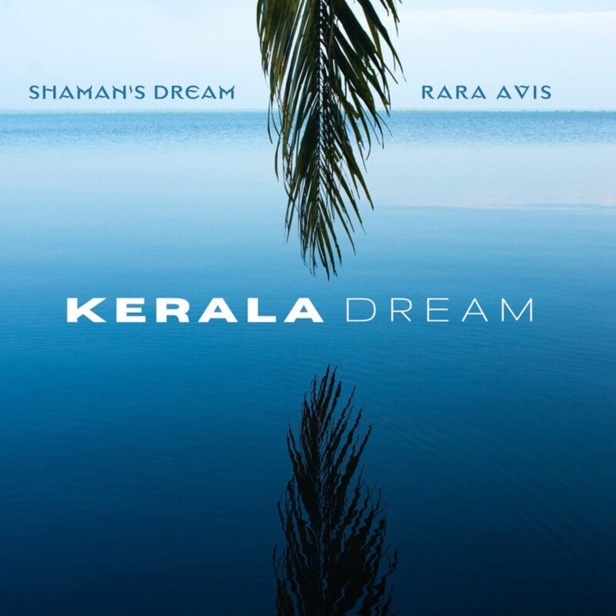 Shaman's Dream