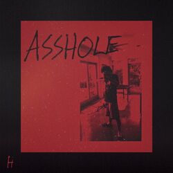 Picture of hooligan chase