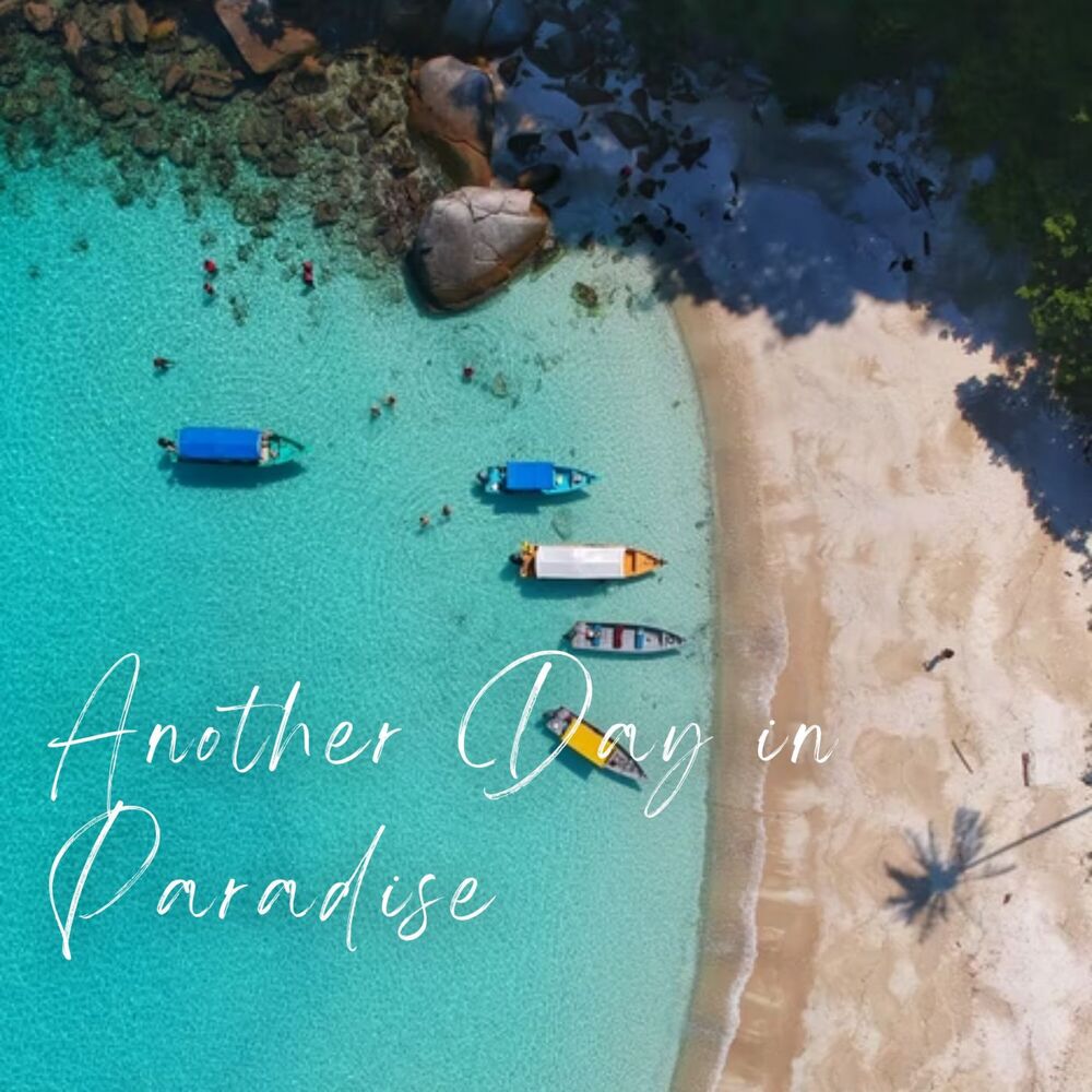 Picture of Relaxing Study Music Playlists