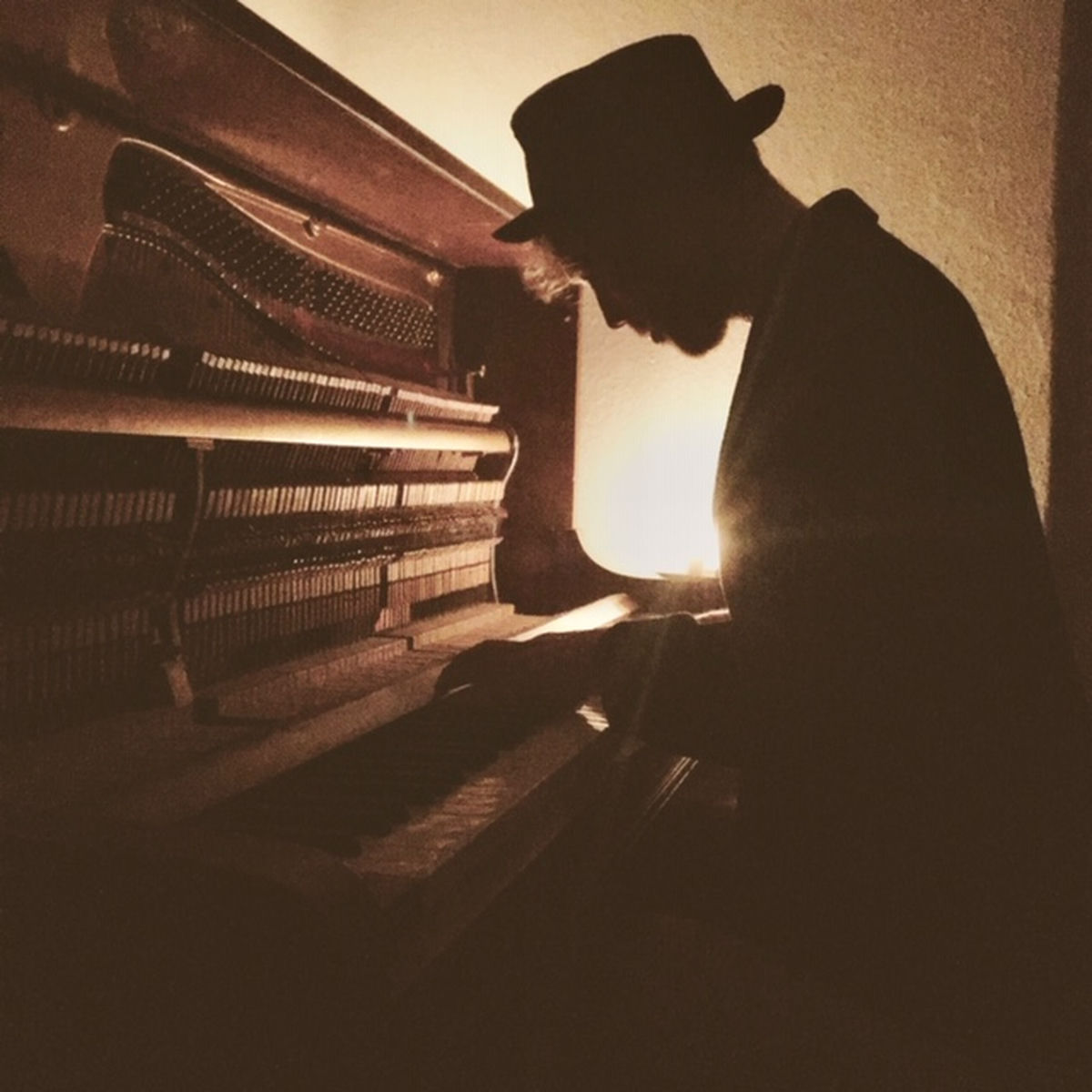 Artist picture of Laurence Ipsum