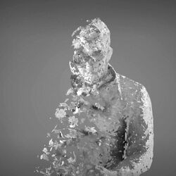 Picture of The Flashbulb