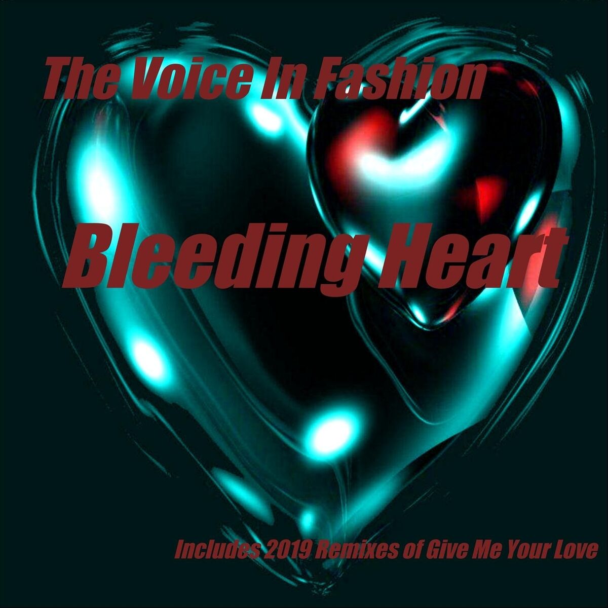 The Voice In Fashion