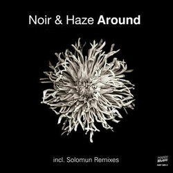 Picture of Noir & Haze