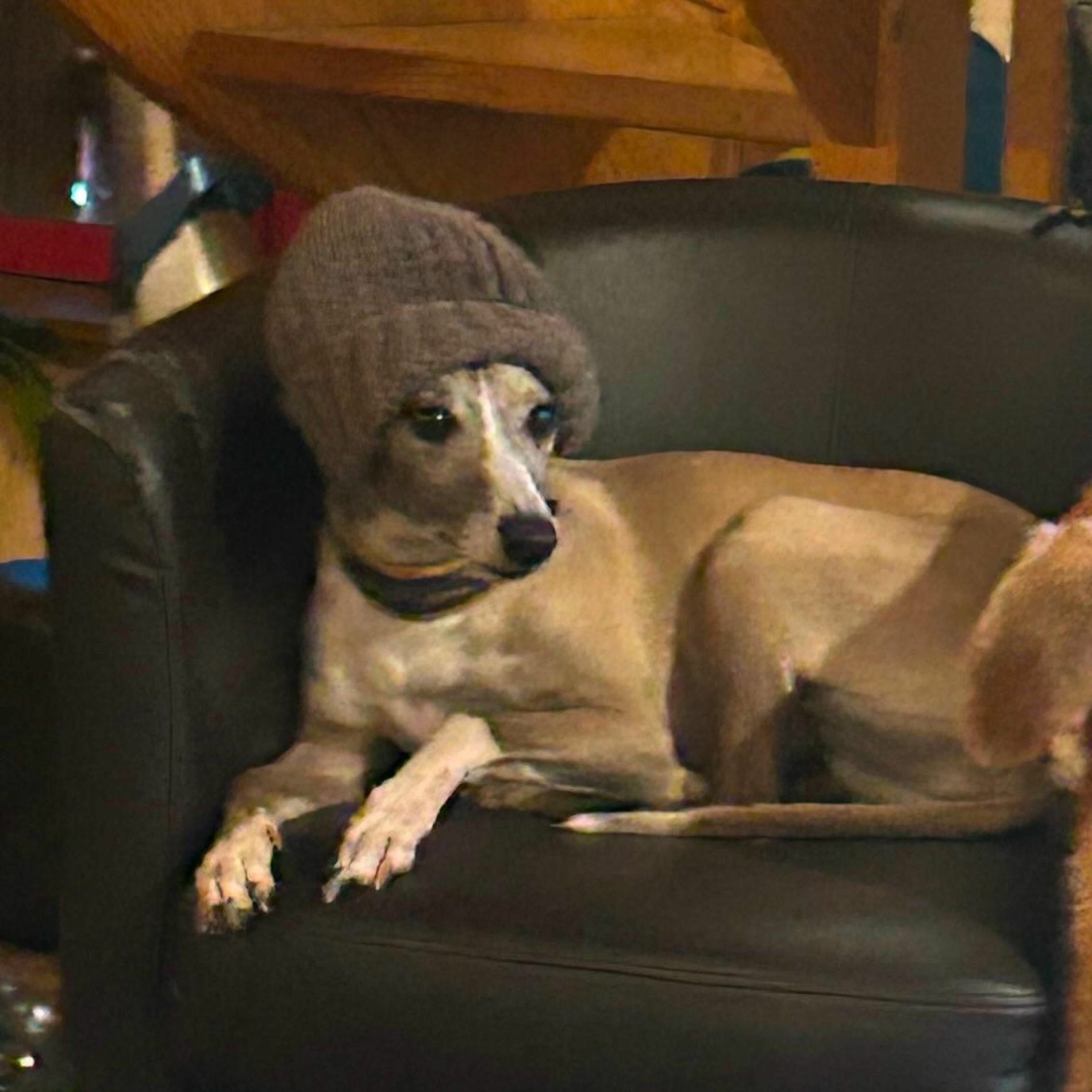 Artist picture of Persephone