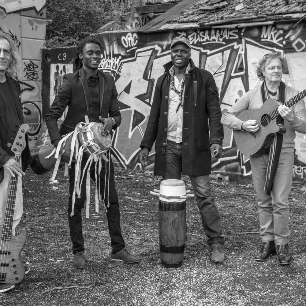 Picture of Senegal Acoustic