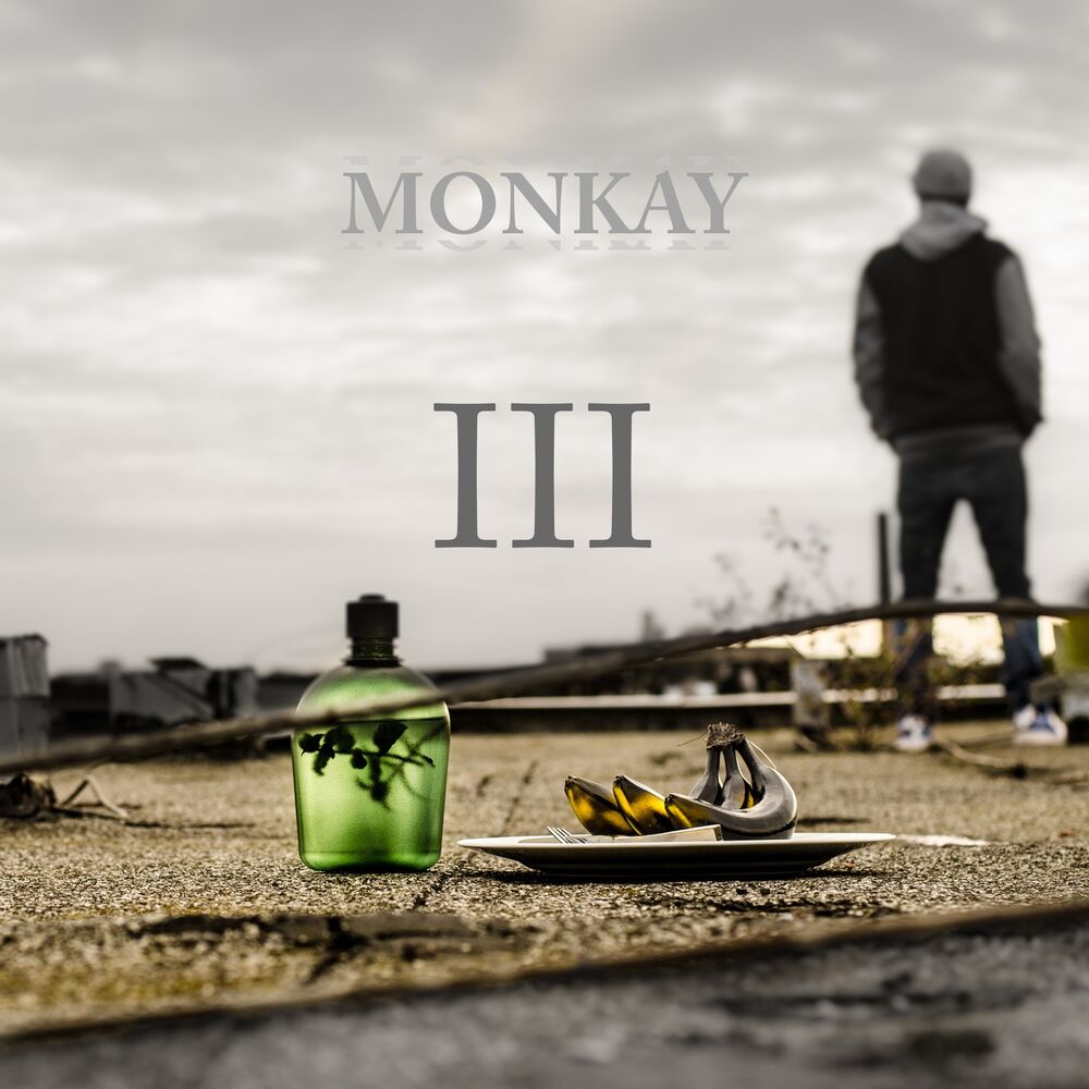 Picture of Monkay