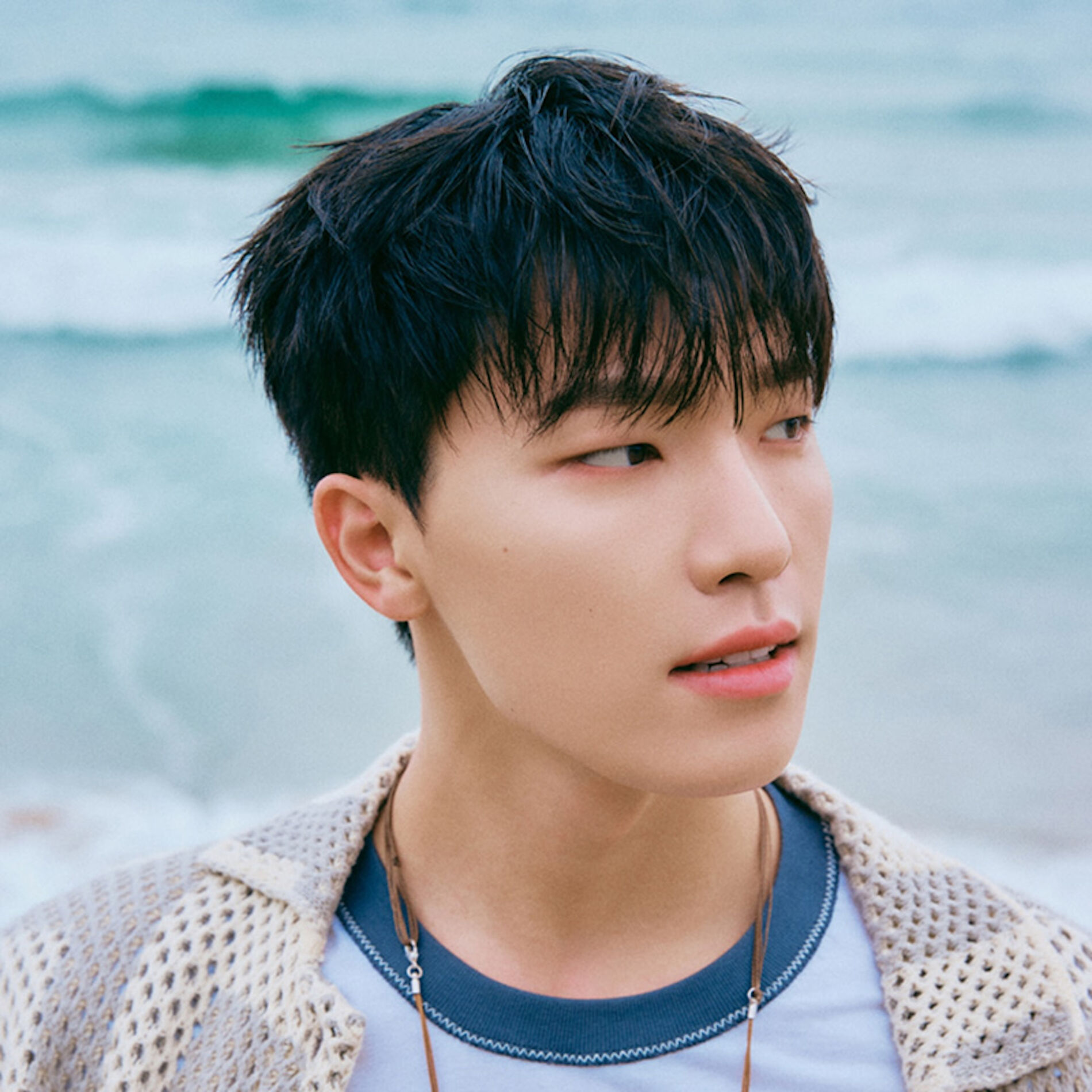 Artist picture of Dino