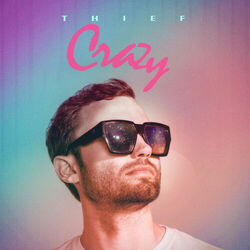 Picture of Thief