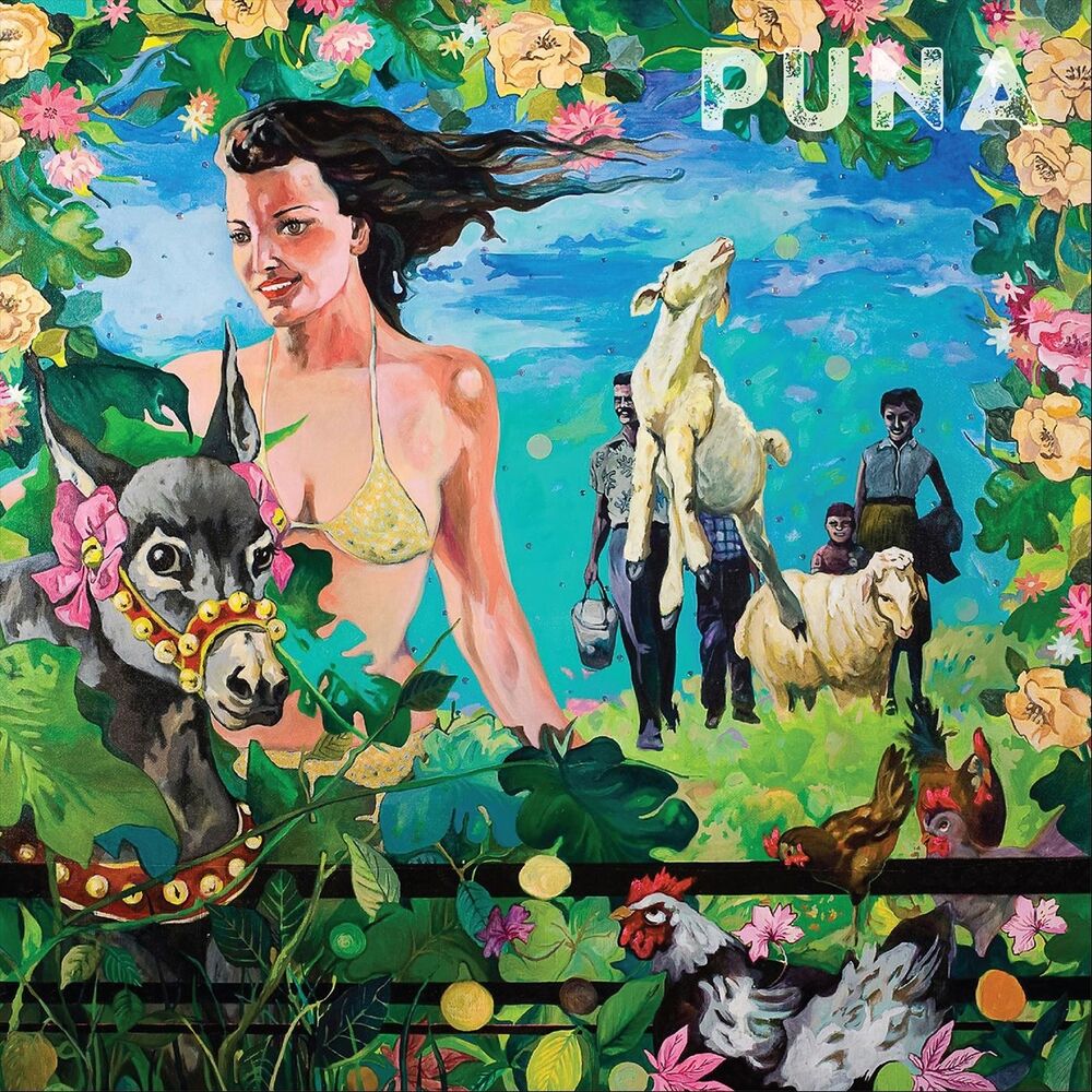 Picture of Puna