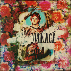 Picture of Manaca