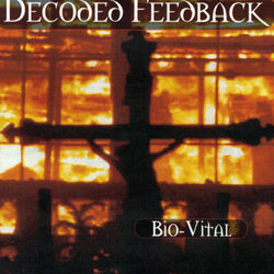 Picture of Decoded Feedback