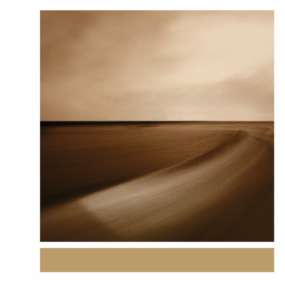 Photo de l'artiste Leo Abrahams