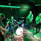The Bats