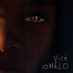 Picture of 10MELO