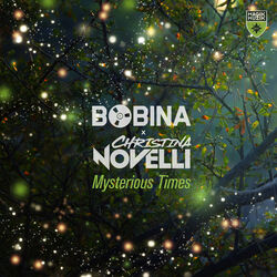 Picture of Bobina