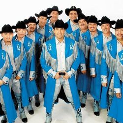 Picture of Banda Machos