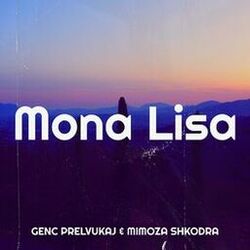 Picture of Mimoza Shkodra