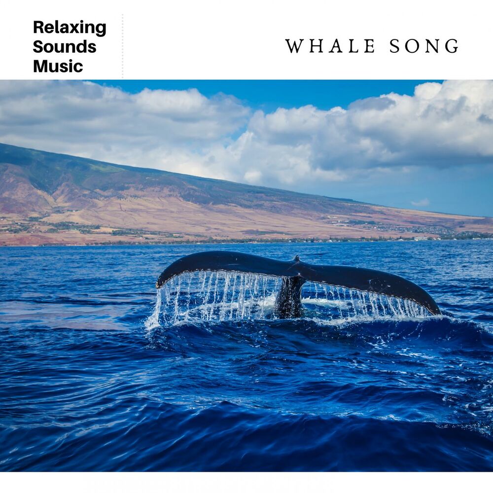 Picture of Ocean Waves Radiance
