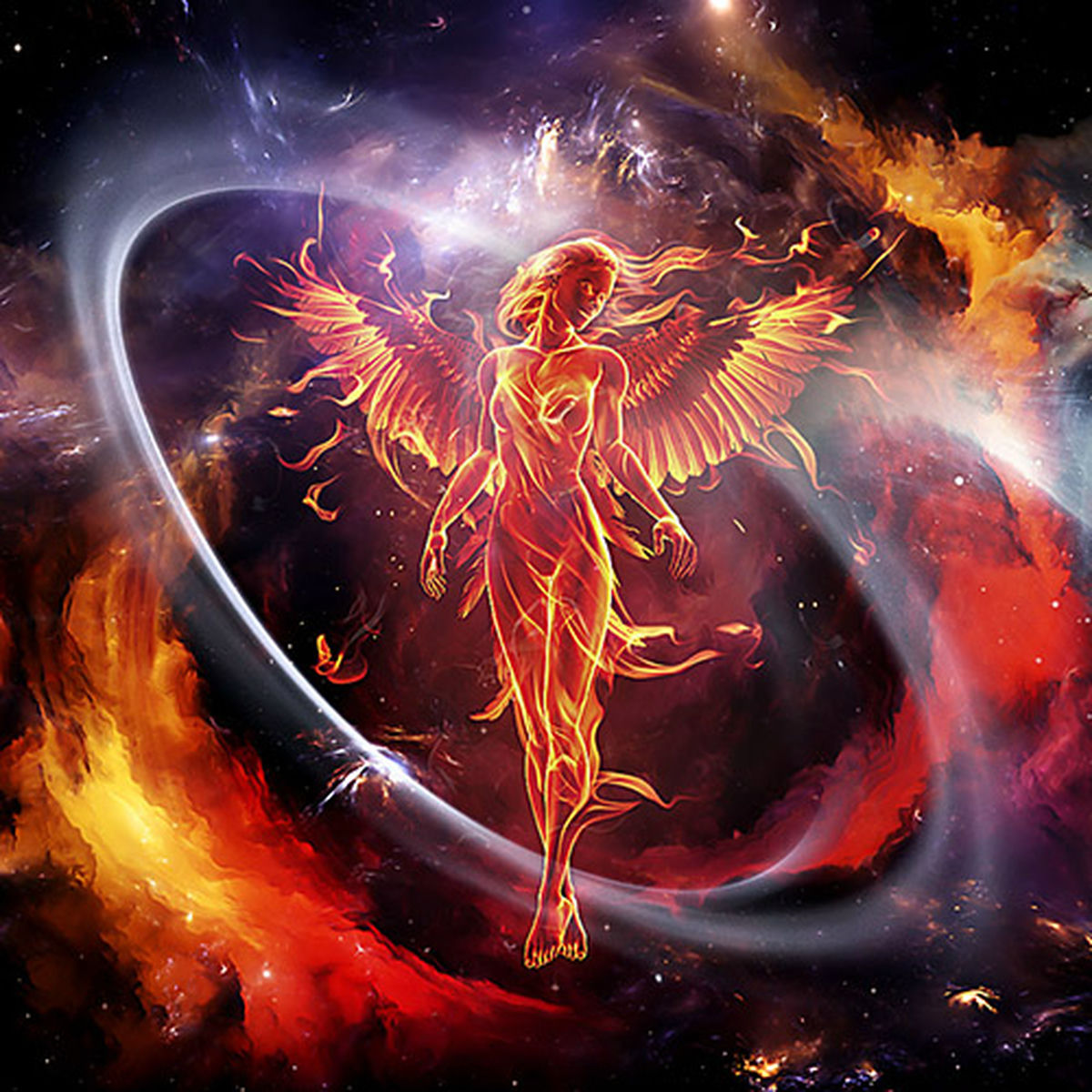 Artist picture of Trippynova