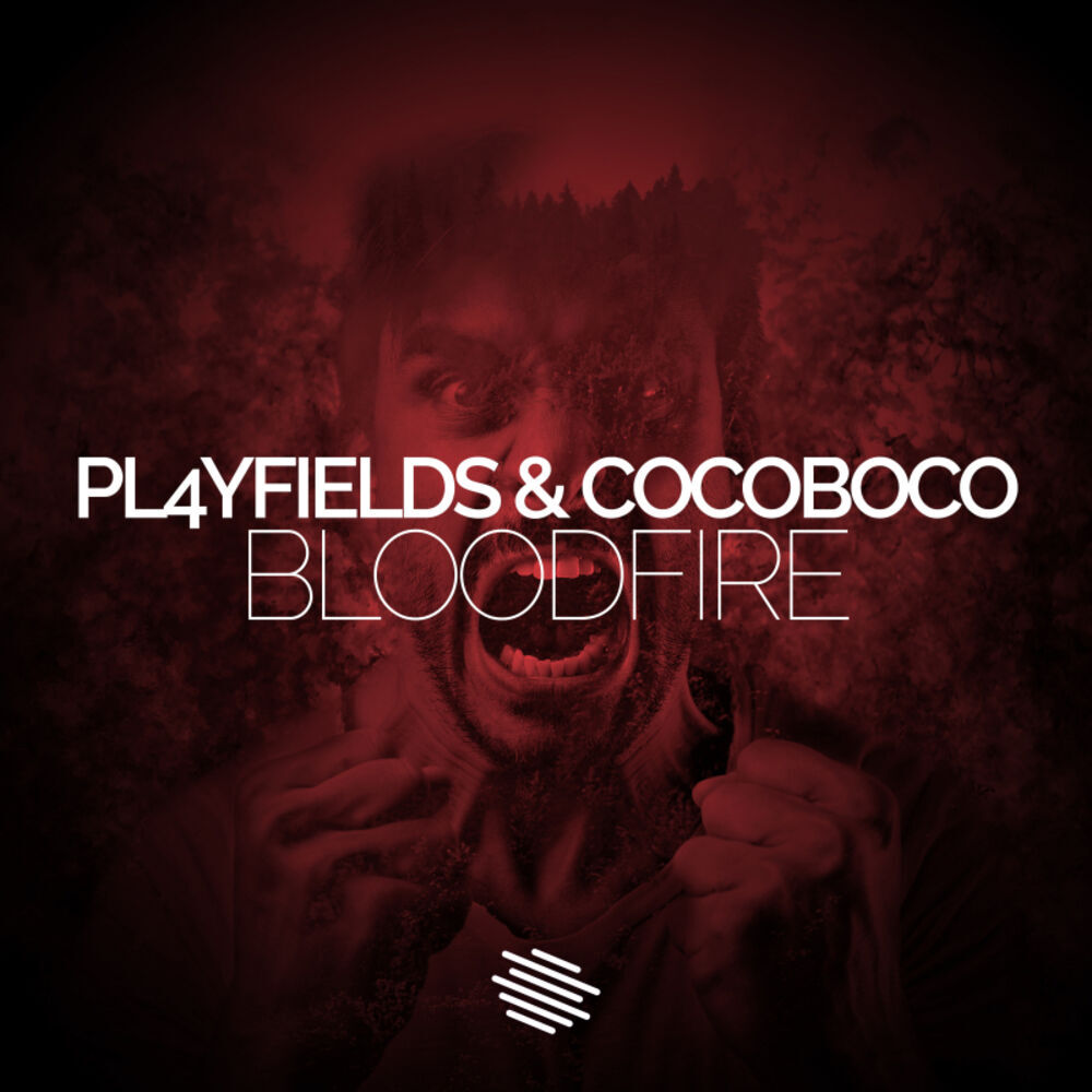 Picture of COCOBOCO