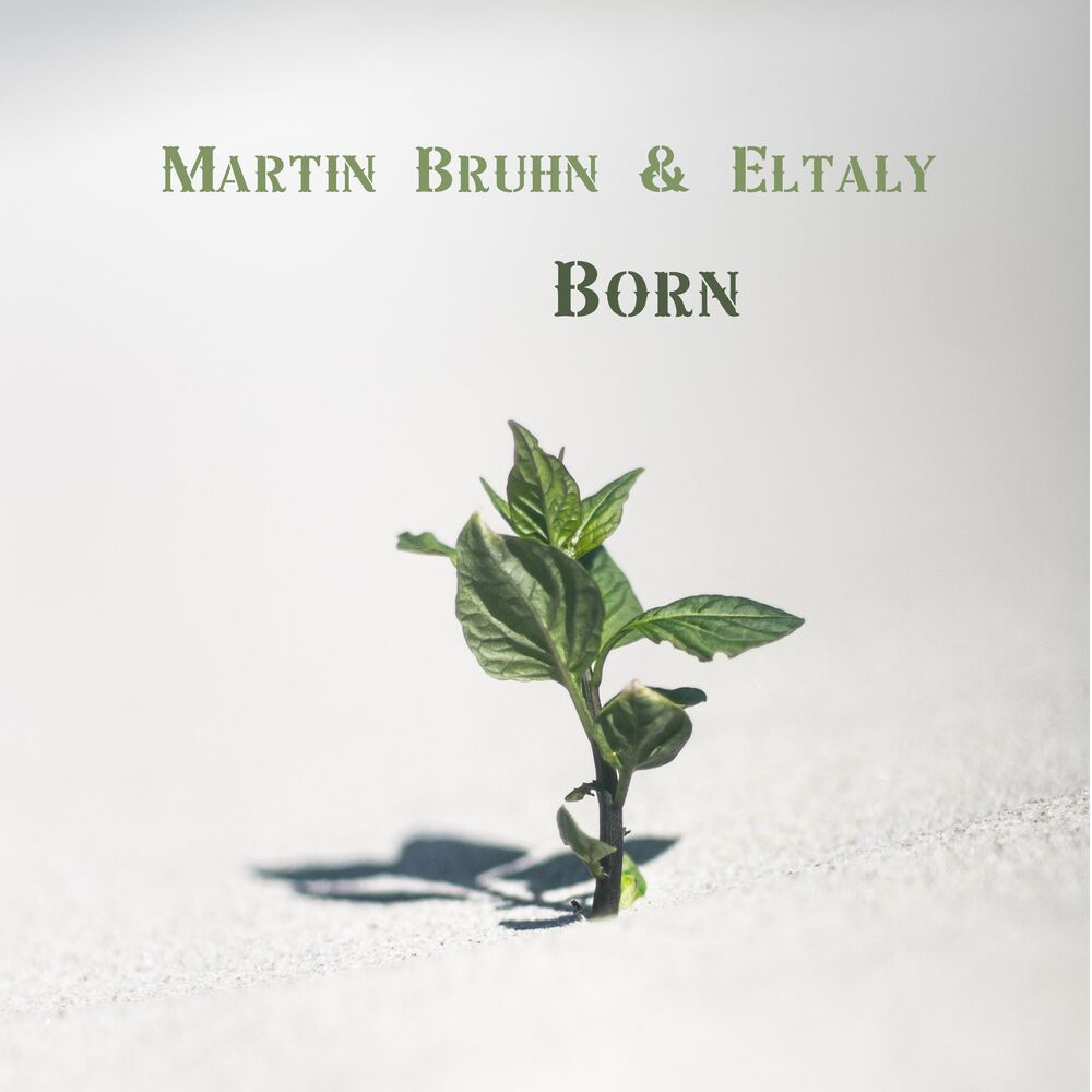 Picture of Martin Bruhn