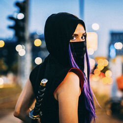 Picture of NINJA POW!