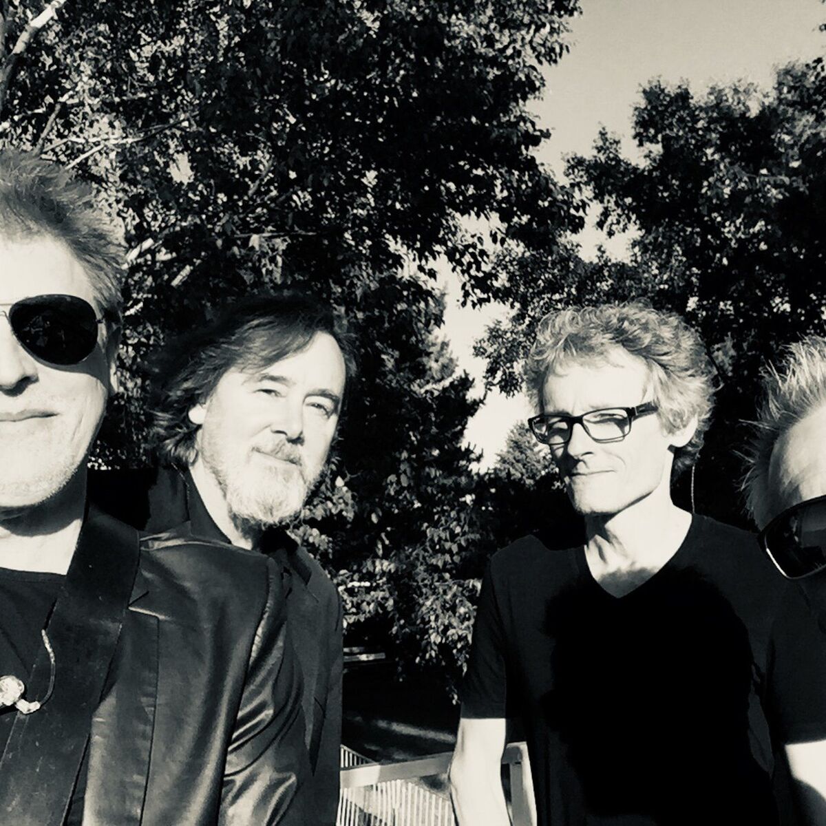 The Northern Pikes