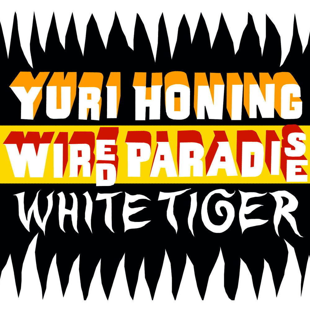 Picture of Yuri Honing Wired Paradise