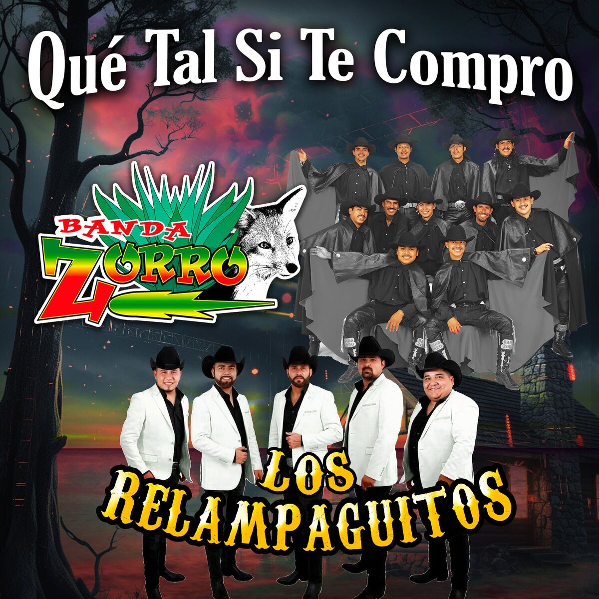 Banda Zorro