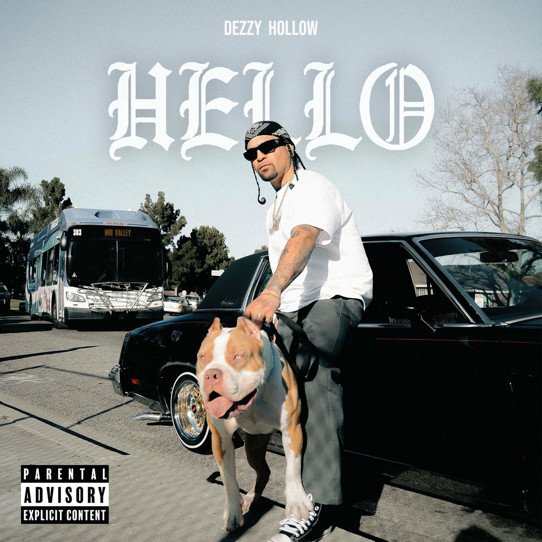 Dezzy Hollow