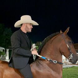 Picture of Juan Correa