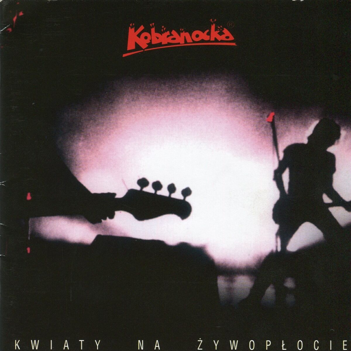 Kobranocka
