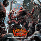 Carnal Decay