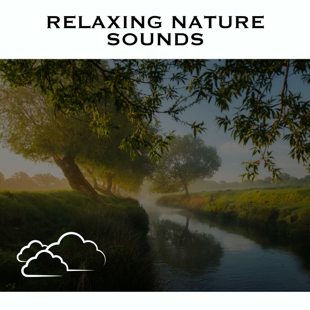 Picture of Relaxing Water Sounds