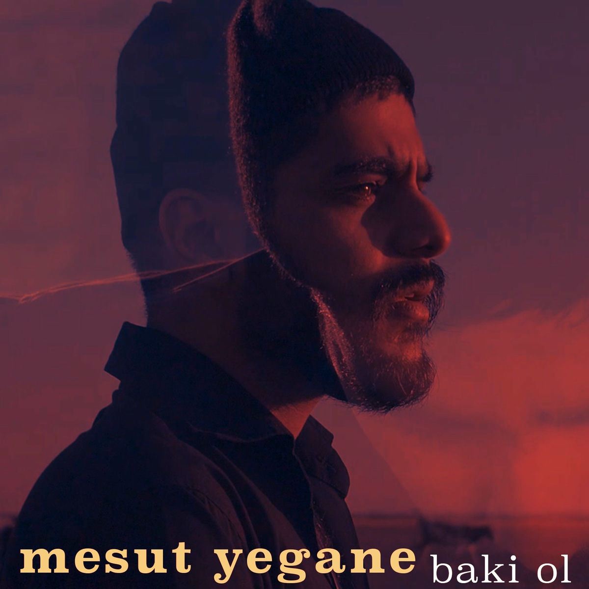 Mesut Yegane