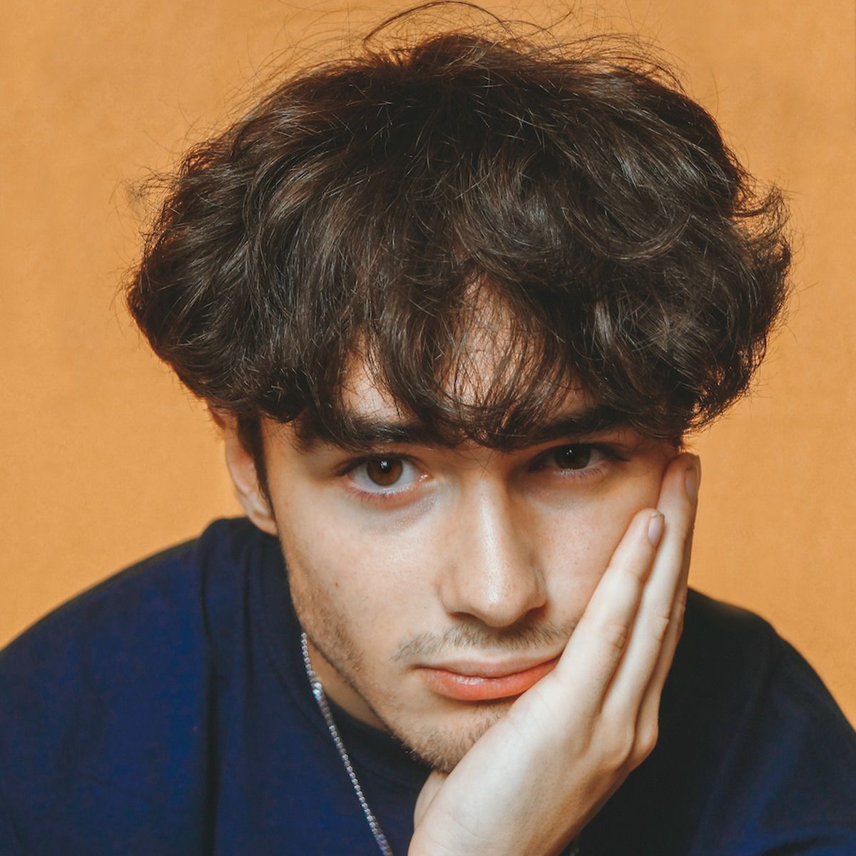 Artist picture of Alfie Templeman