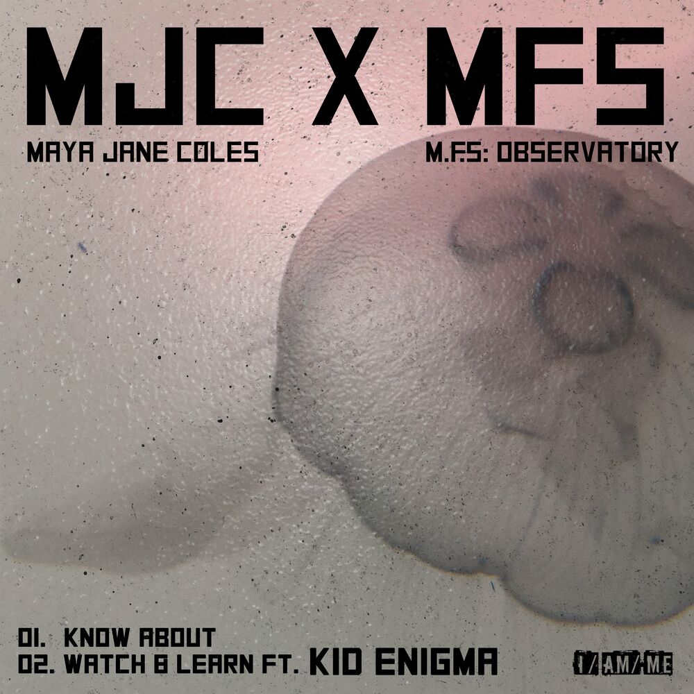 Picture of M.F.S: Observatory