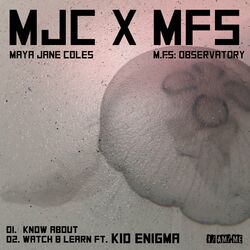 Picture of M.F.S: Observatory