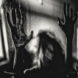 Picture of Behind the Shadow Drops