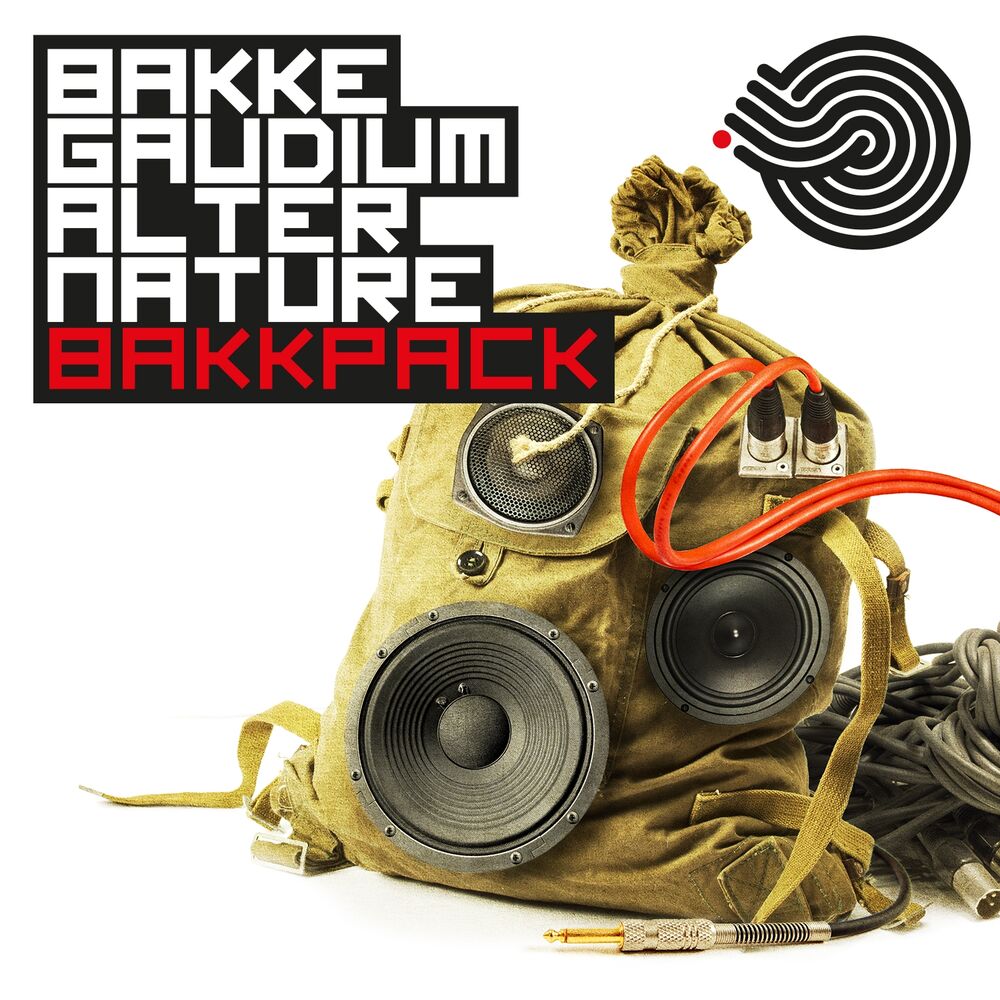 Picture of Bakke