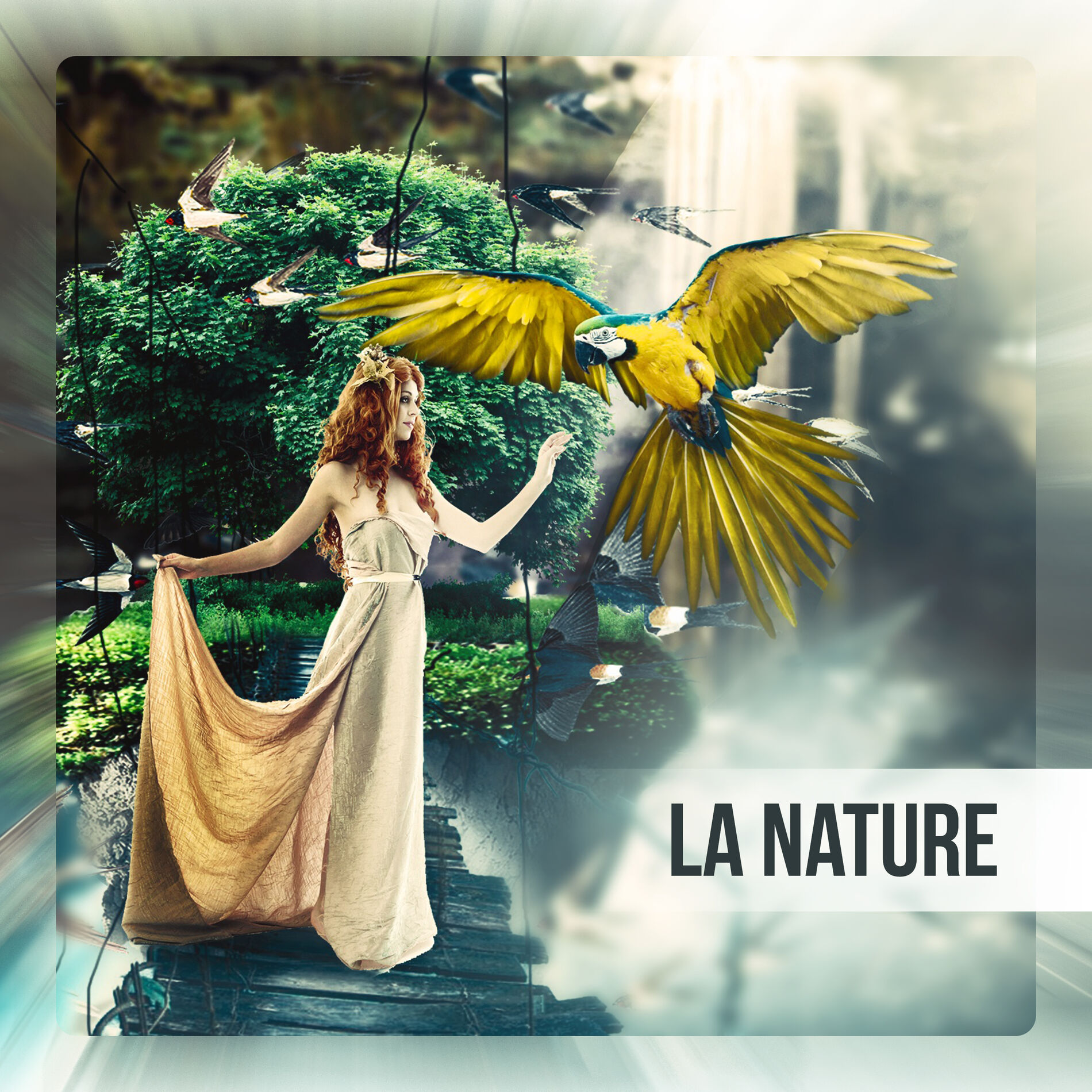 Pure zone des bruits naturels