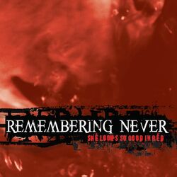 Picture of Remembering Never