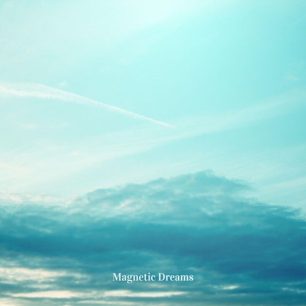 Picture of Magnetic Dreams