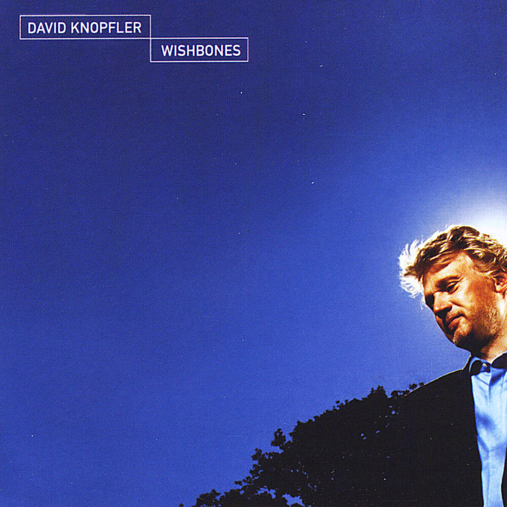 Picture of David Knopfler