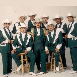 Picture of Banda Arkangel R-15